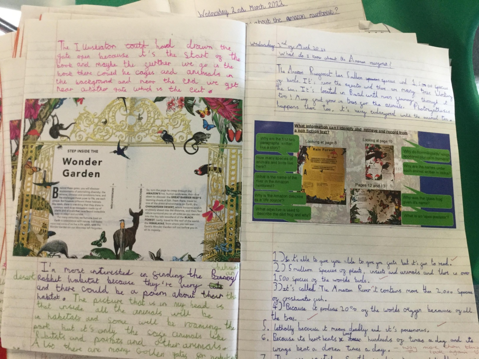 Merdon Merdon Junior School - What do I know about the Amazon Rainforest?