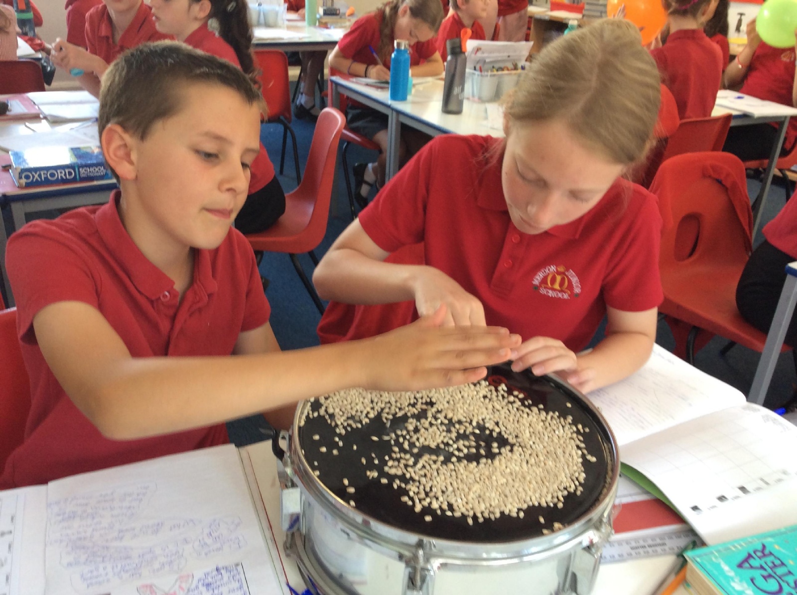 Merdon Merdon Junior School - Science