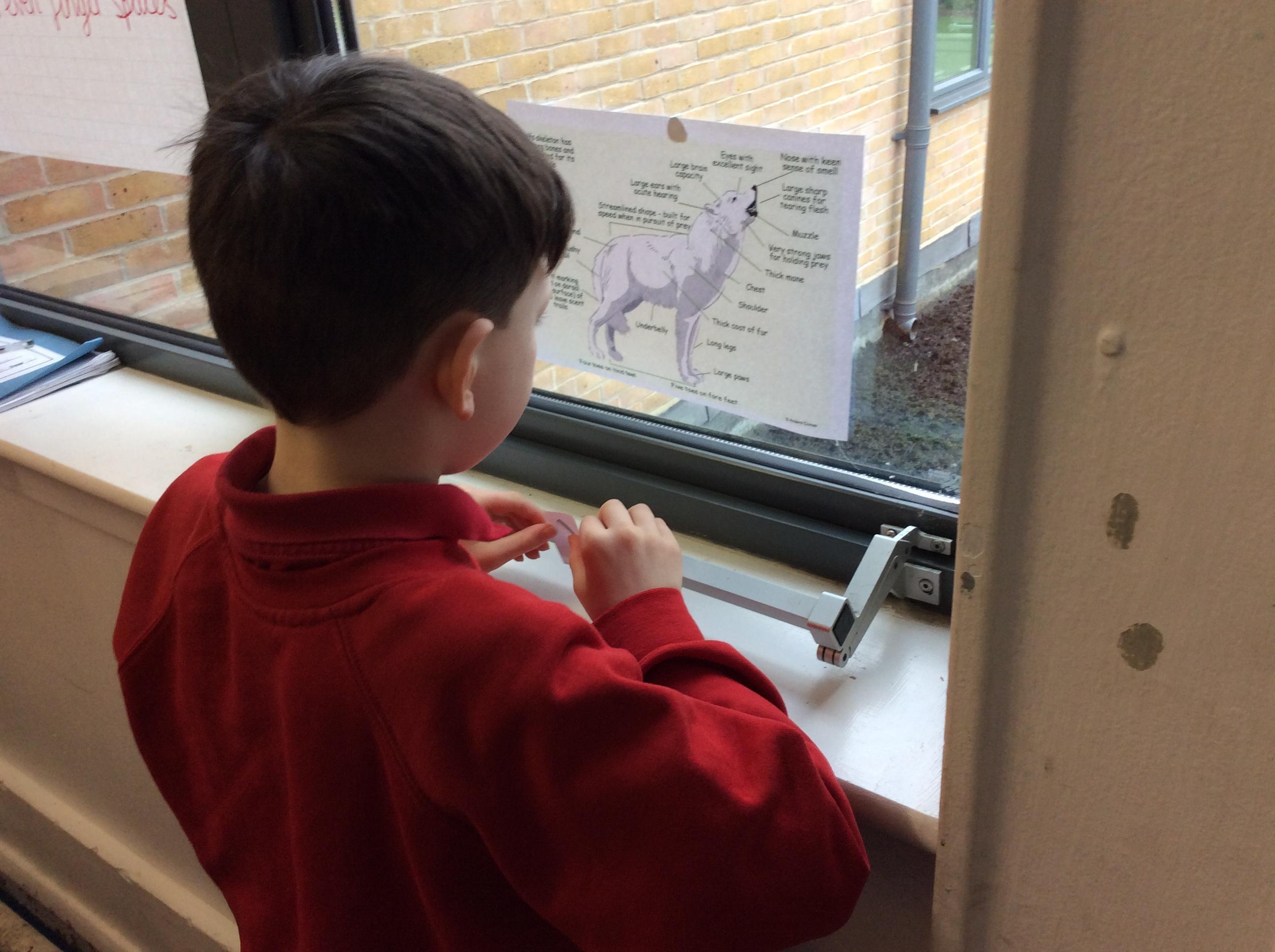 Merdon Merdon Junior School - English