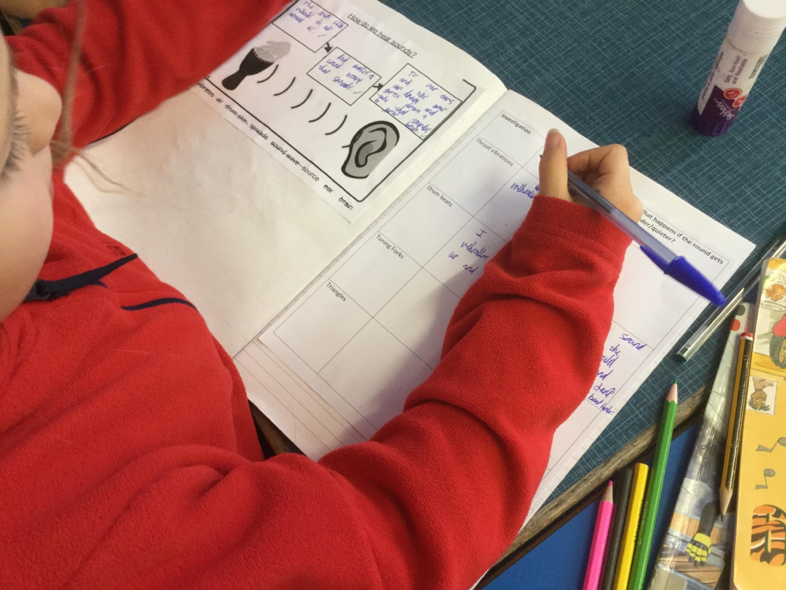 Merdon Merdon Junior School - Science