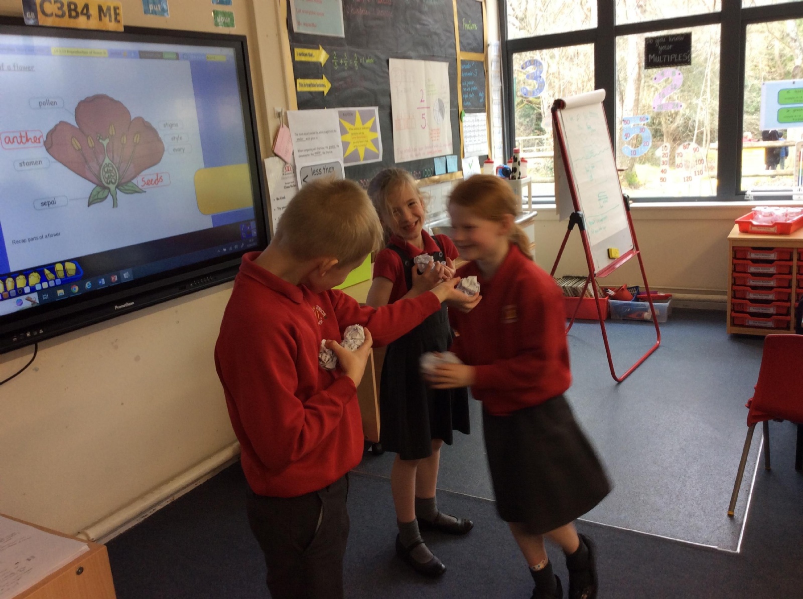 Merdon Merdon Junior School - Science